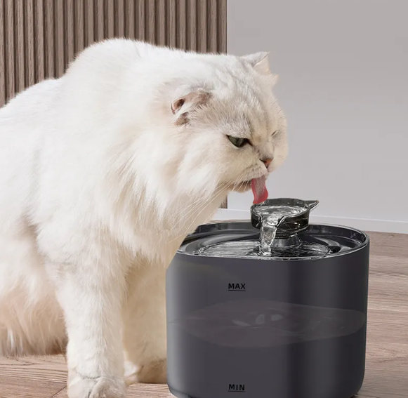 Cat Water Dispenser